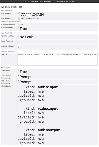 browserleaks-webrtc-2025_03_01_08_13_48